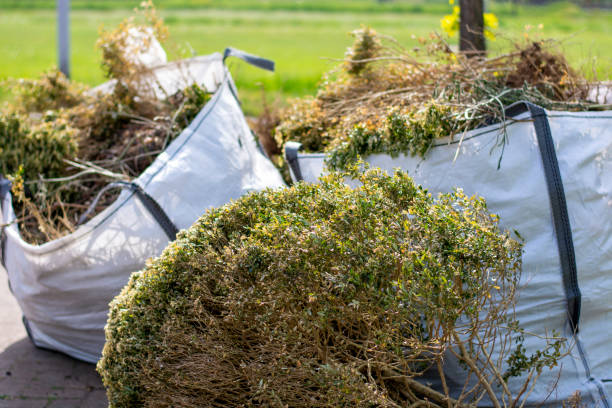 Best Electronics Removal Services  in Arcola, VA