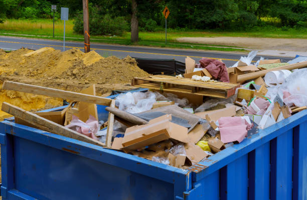 Yard Cleanup Services in Arcola, VA